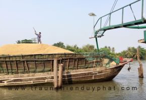 thu-vien-anh-03.jpg